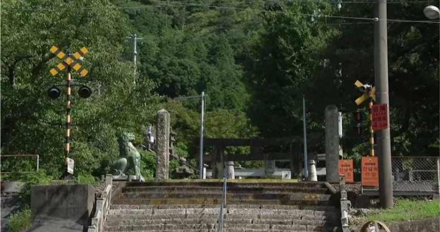 55歲台女闖平交道拍照遭撞死！目擊者還原當下：她誤判方向