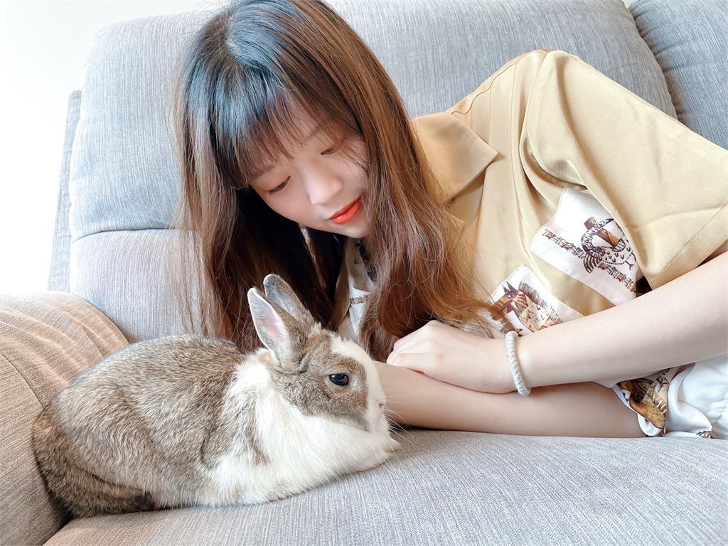 上節目針貶時事鏗鏘有力　名嘴們養萌寵談有趣互動