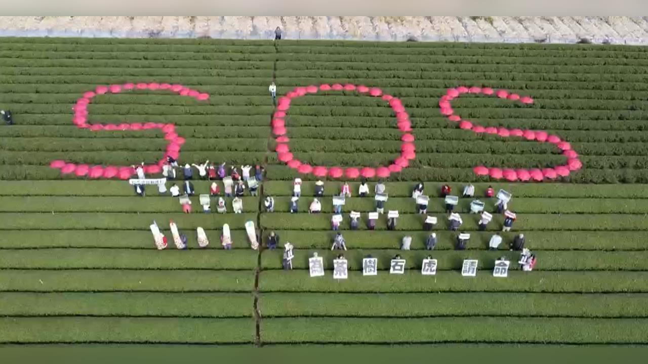 快新聞／名間鄉茶農抗議執意蓋焚化爐　時代力量三問許淑華：為政治利益？