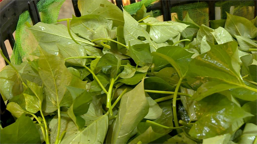 中南部豪雨菜價瘋漲 葉菜類價格翻兩倍