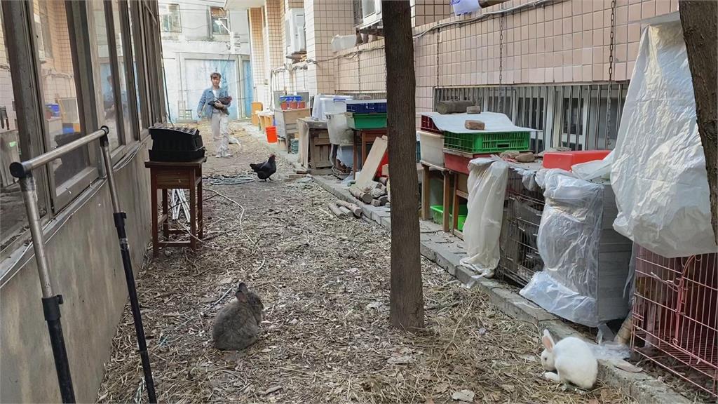 落葉串起食物鏈維持生態平衡　學校閒置空間變動物收容中心