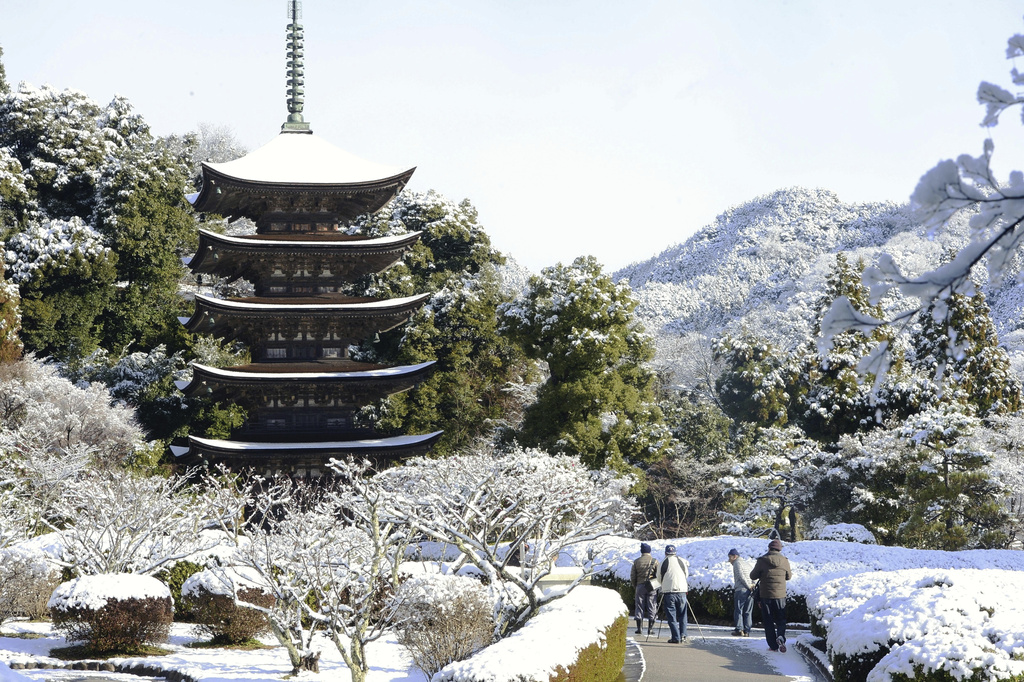 <em>紐約時報</em>公布2024年　日本「這裡」入選全球最值得去觀光目的地