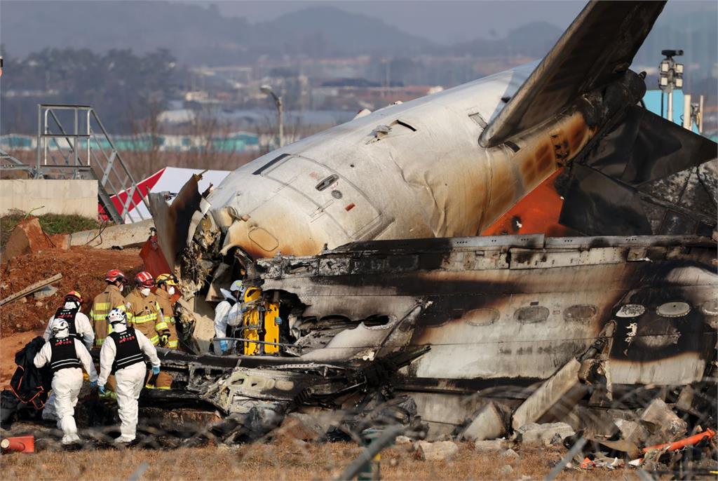 鳥擊失事？濟州航空客機失事179死　專家持懷疑態度
