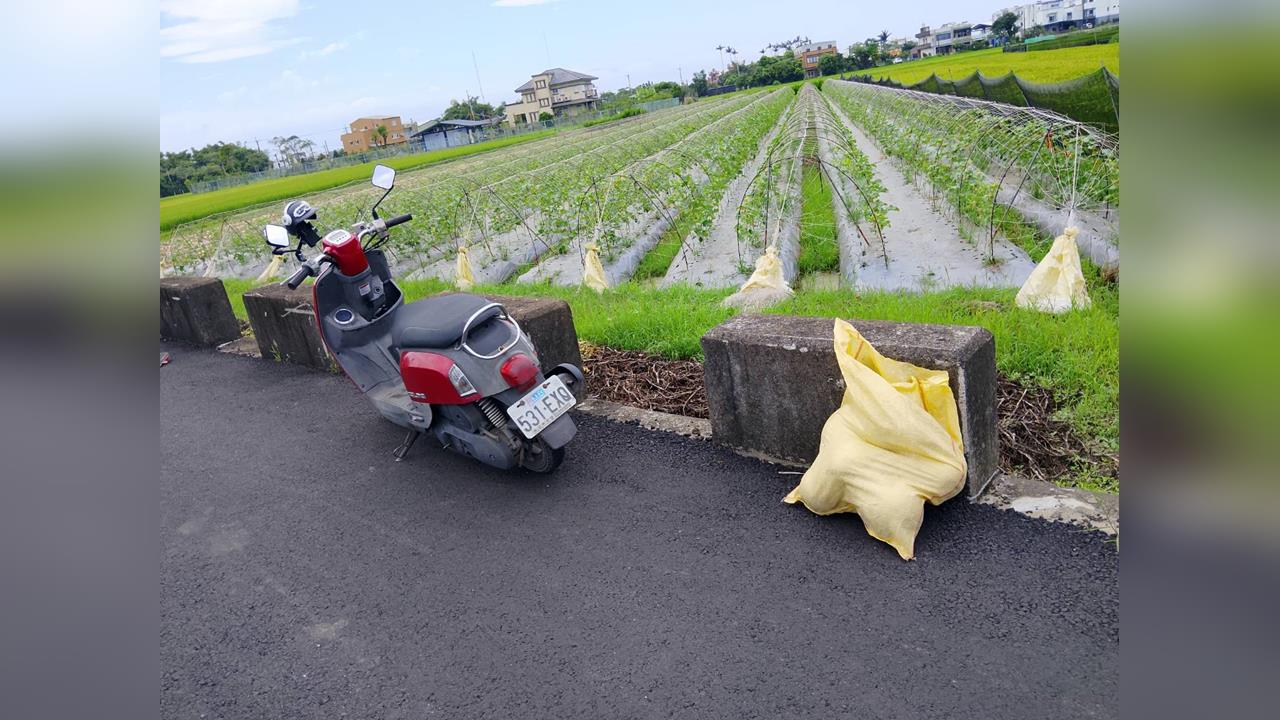 壯圍哈密瓜正值產期引賊 逃逸移工偷瓜爬屋頂與警對峙