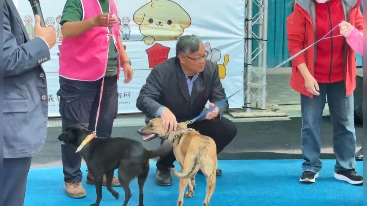 嘉縣獨創浪浪就業服務站 讓流浪狗成為夥伴