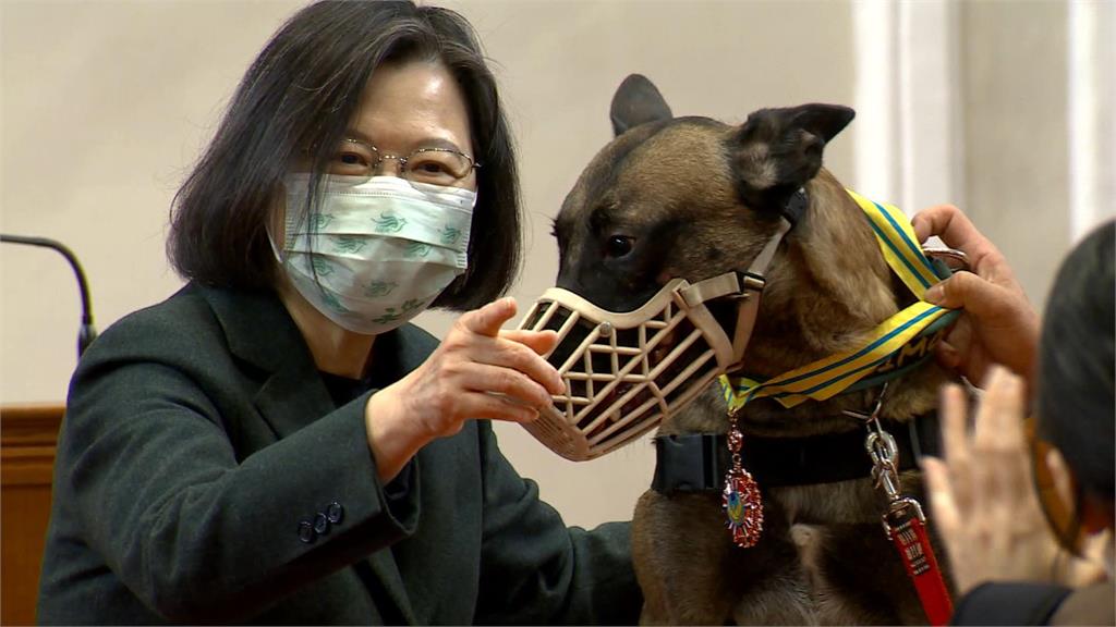 接見搜救英雄牽退役搜救犬「樂樂」到場　太熱情！搜救犬Melody偷親總統