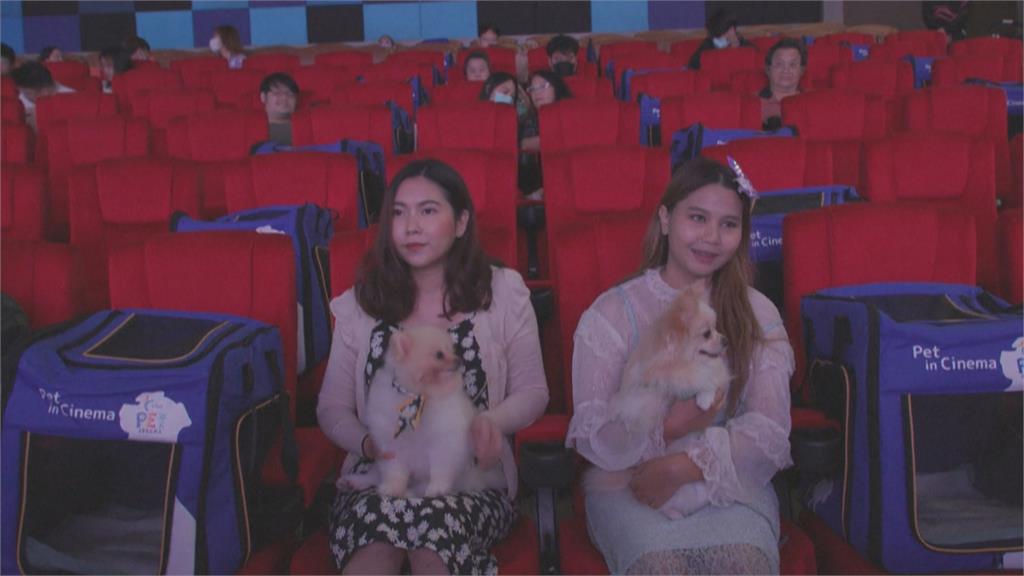 商機夯！泰國推「寵物」電影院　毛孩陪主人看電影同樂