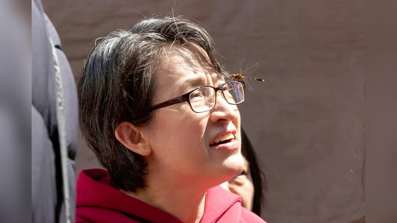 蕭美琴走春被「選中」了!罕見「蜻蜓停留鏡框」照曝光 內行人揭神祕意涵