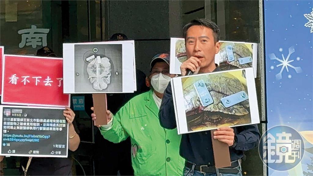 【動保虐貓黑幕多2】合作獸醫治療烏龜爆爭議　處長楊淑方竟洩漏陳情人電話