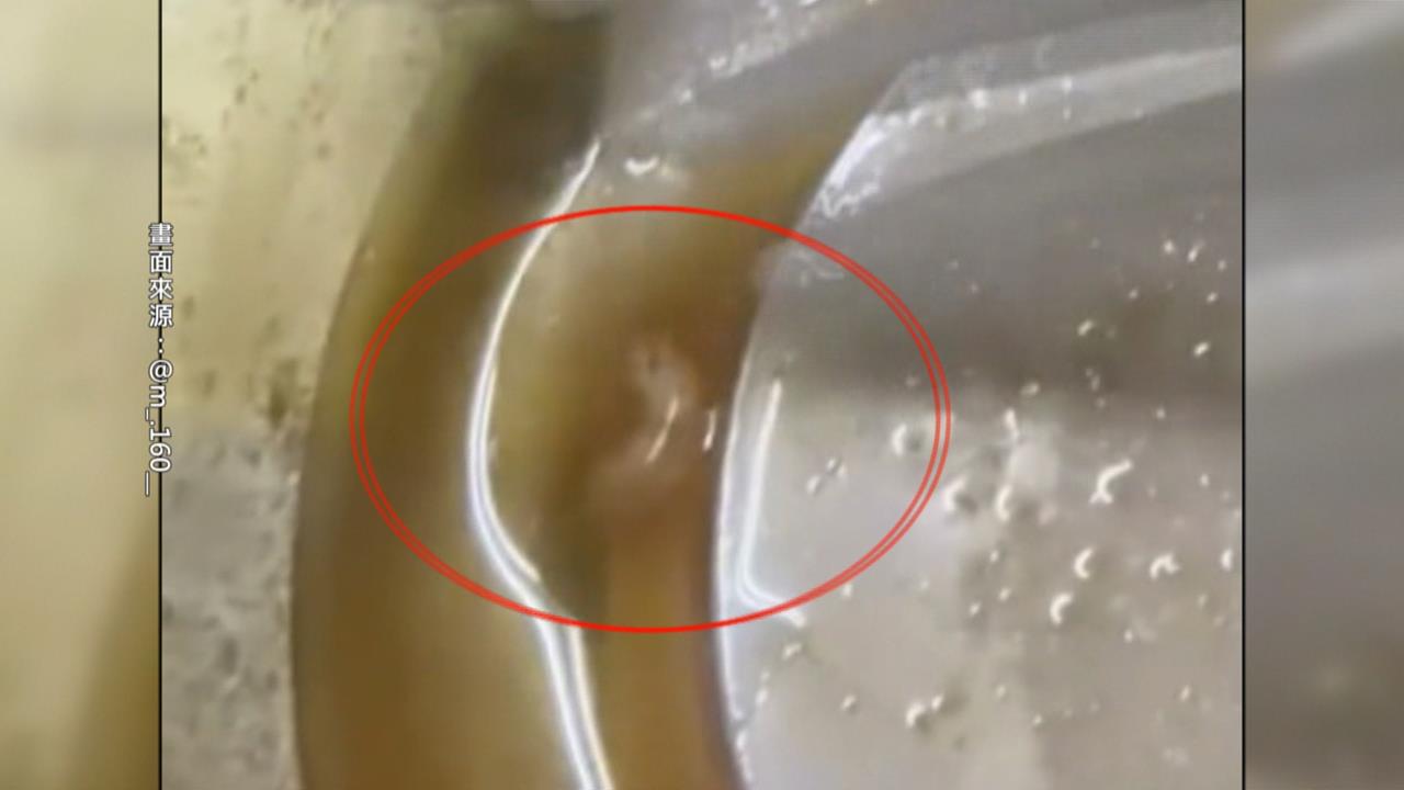 超商鮭魚沙拉驚見活蟲蠕動　奶油義大利麵小蟲亂竄超噁！