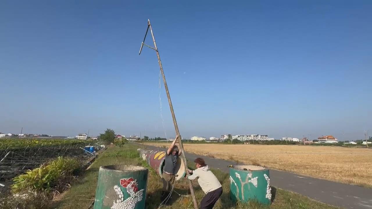 台南推動"猛禽棲架"防鼠害 守住農民心血