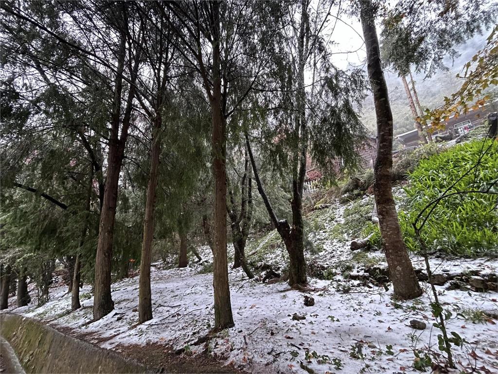 寒流冷颼颼　4個台灣熱門追雪景點