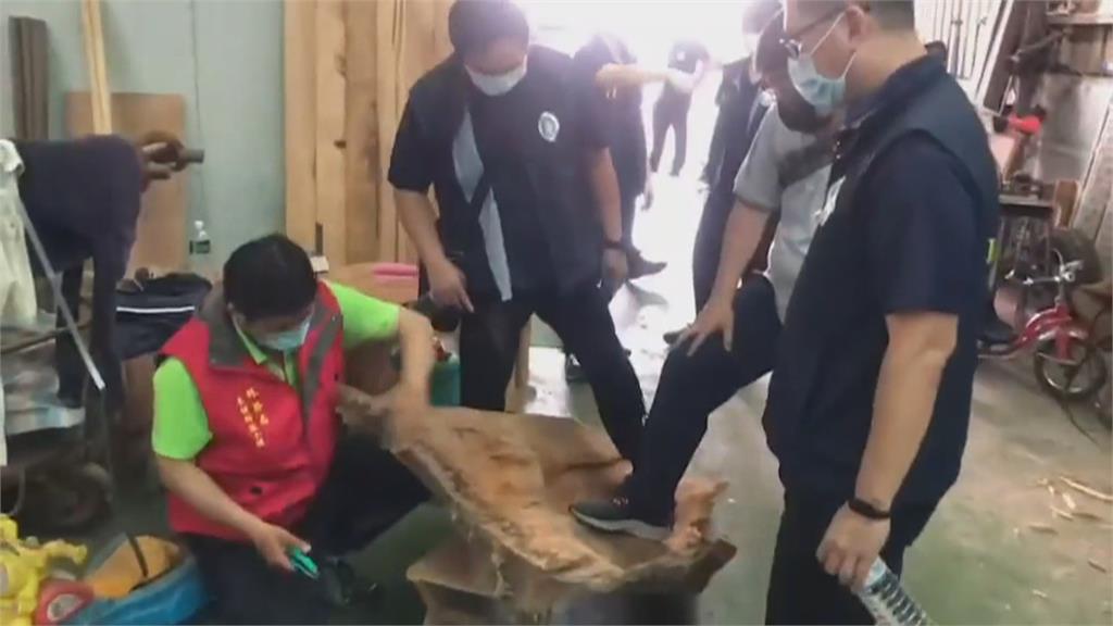 汽修廠廢棄倉庫飄木頭香　警破獲86公斤盜伐林木