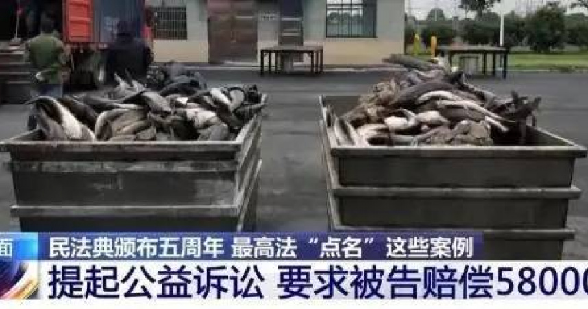 放生變放毒！女子放生大量外來魚釀災難　法院重罰新台幣26萬元