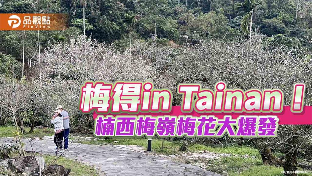 「梅」好時光就在台南！楠西梅嶺梅花大爆發　冬日仙境等你來