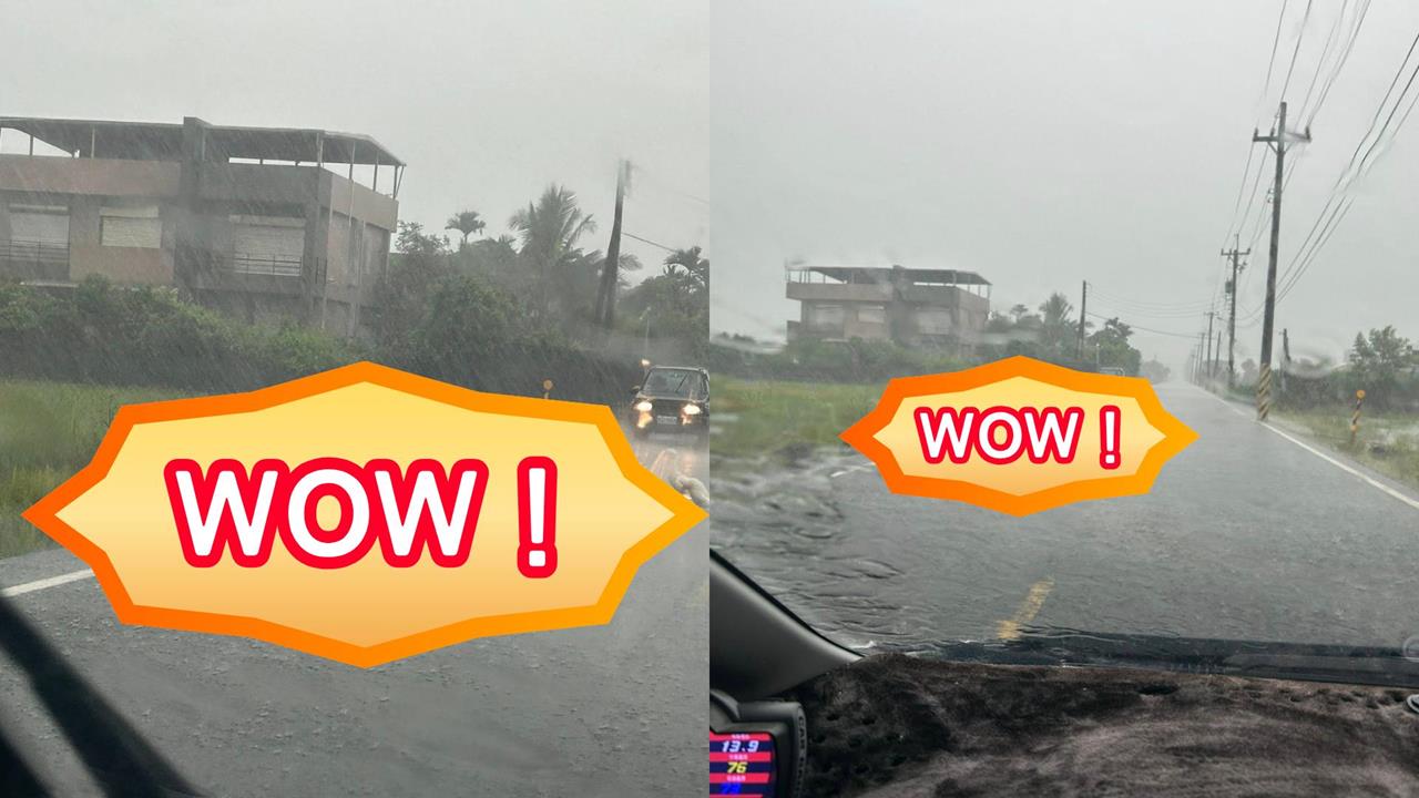宜蘭暴雨誰家的鴨子跑出來了!「鴨群霸路」畫面曝網笑翻:按喇叭沒反應