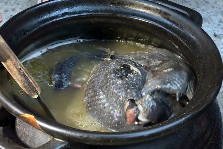 冬天進補喝雞湯 破布子雞甘甜美味