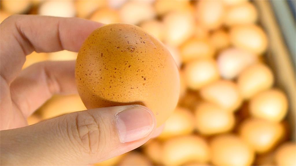 農委會救蛋荒！自美、日進口140萬顆蛋補缺口