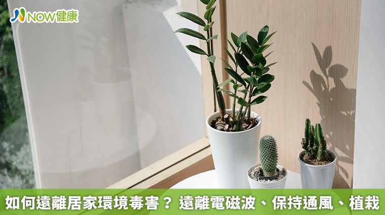 如何遠離居家環境毒害？遠離電磁波、保持通風、植栽