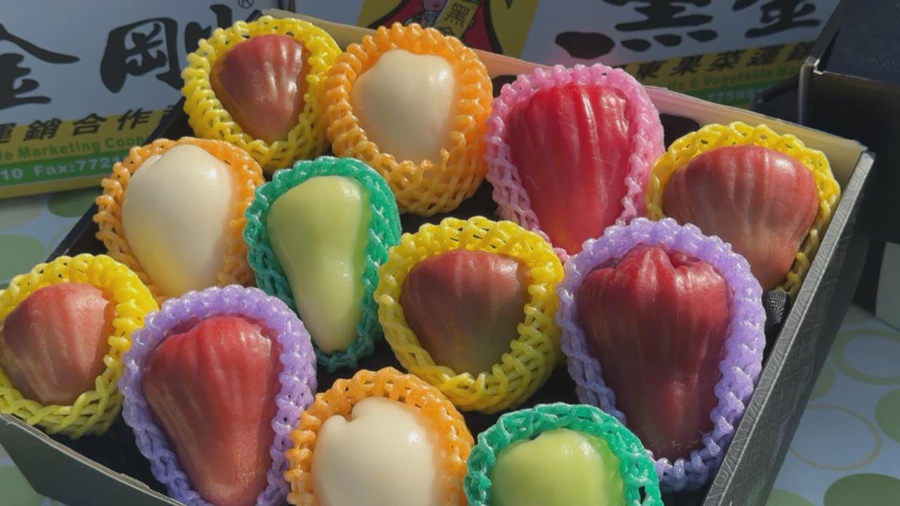 蓮霧大王20年研發數十種新品種 改良精進打造「蓮霧王國」