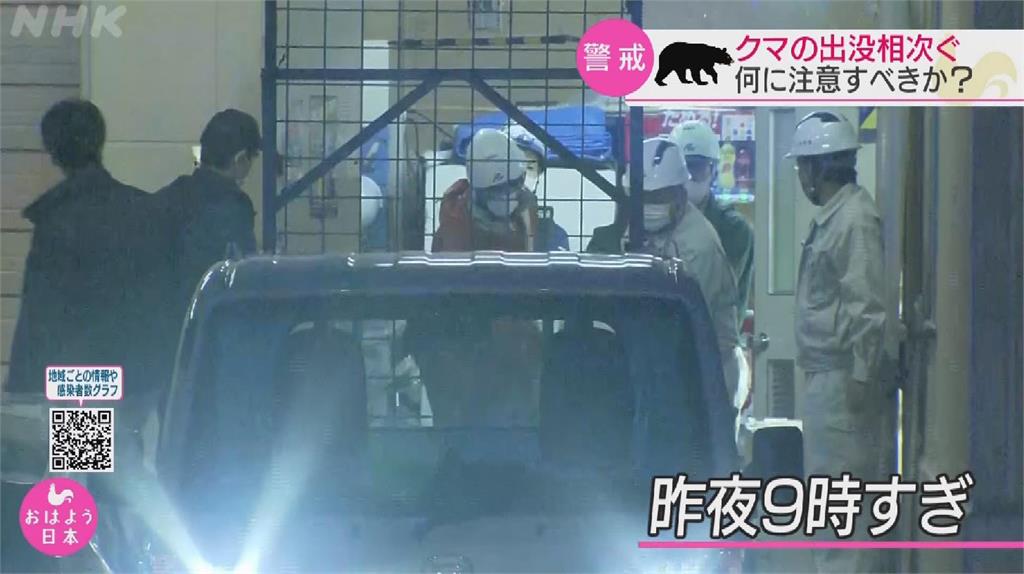日本熊出沒頻傳！ 石川熊熊逛賣場嚇壞居民