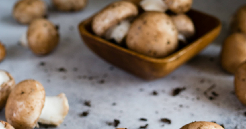 台北旅館「浴缸旁長香菇」一晚3千 DJ傻眼:廢到笑出來