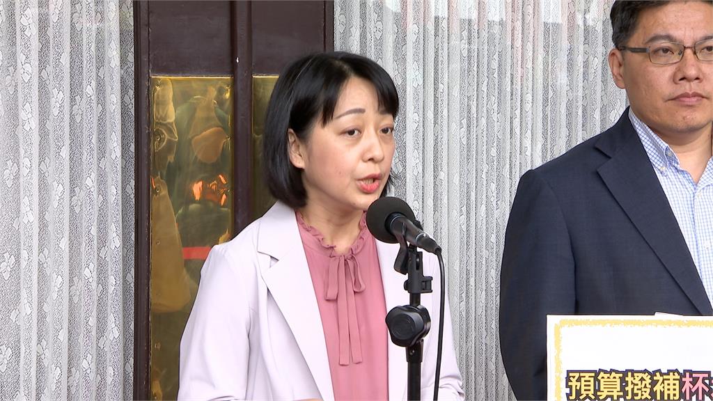 大安區立委搶破頭！王婉諭參戰　苗博雅提「非藍大聯盟」打敗國民黨