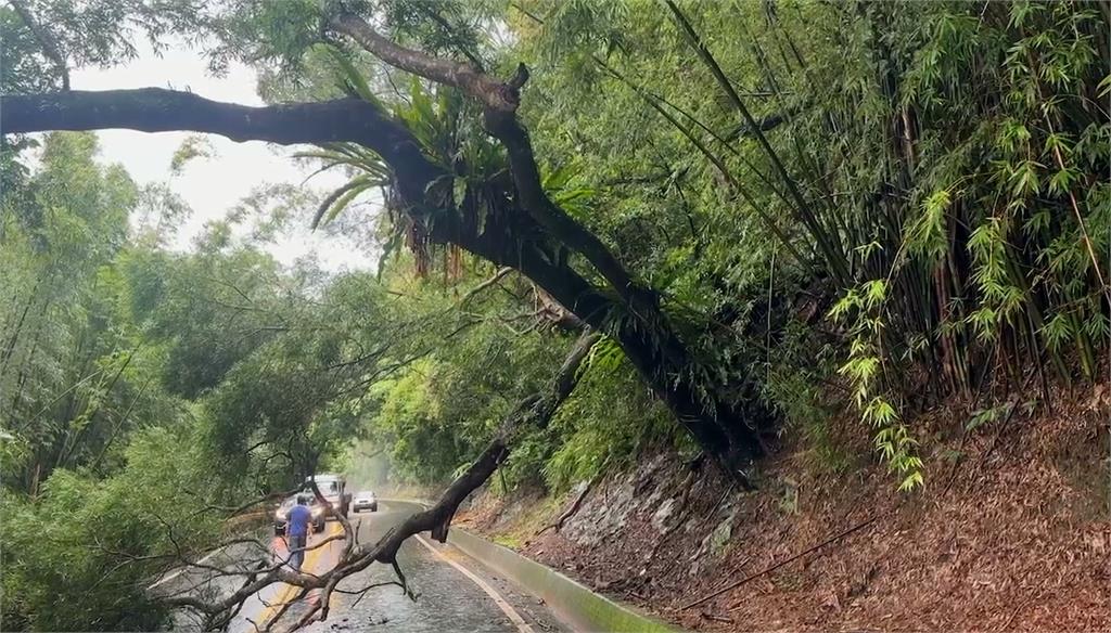 宜蘭台九線路樹傾倒雙向回堵　車陣中「吊車正義哥」即時現身！