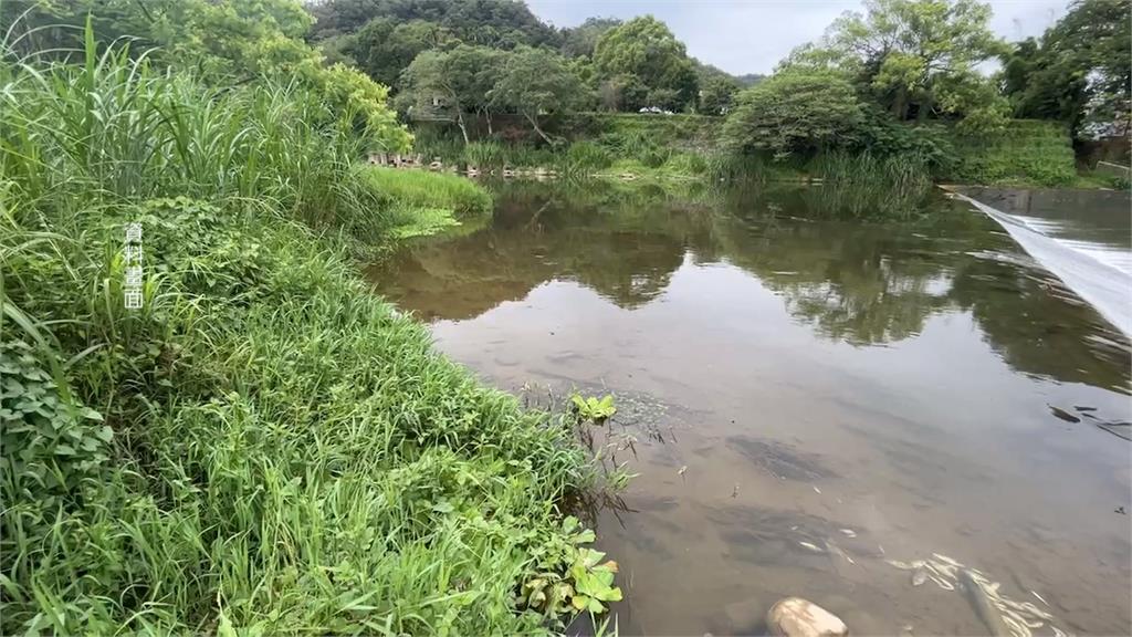 新竹鳳山溪遭污染　「逢雨傳惡臭」縣府挨轟處理消極