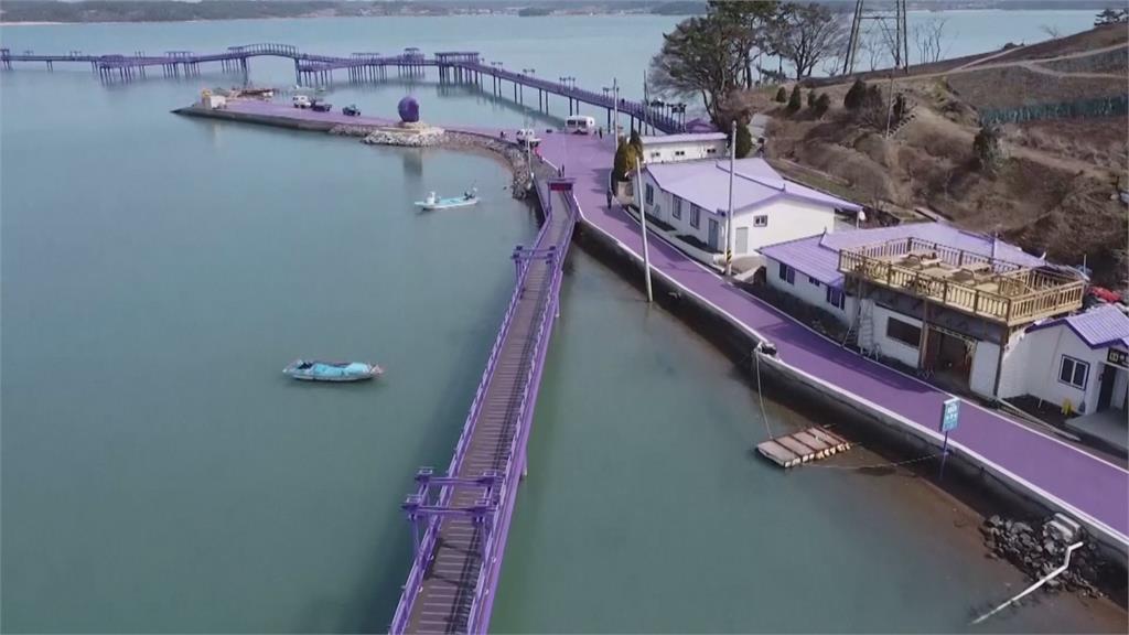 疫情下的網美天堂！ 南韓新景點「紫色小島」夢幻如童話