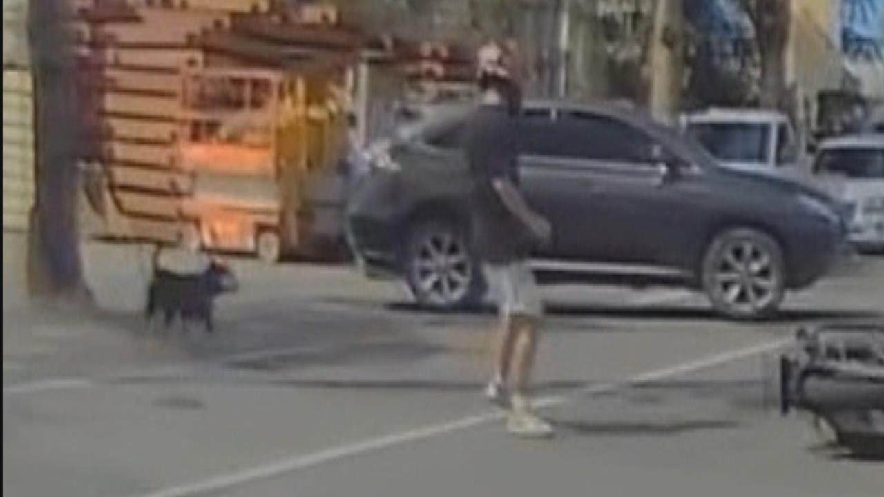 地獄倒楣鬼? 騎士遭休旅車擦撞 倒地起身又被狗追