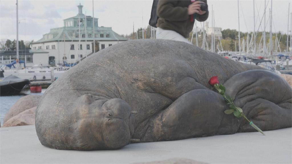 海象「芙雷亞」遭挪威政府預防性安樂死　紀念銅像落成警醒世人