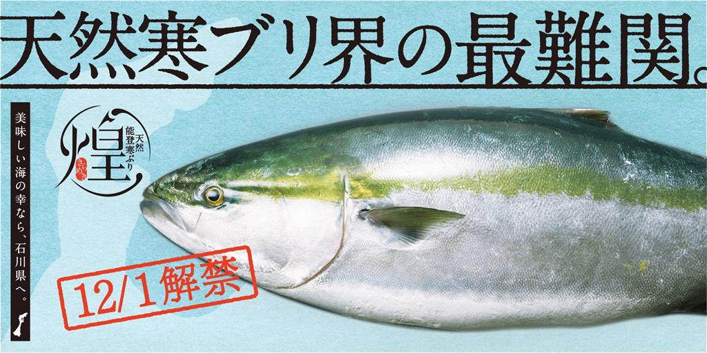 石川縣金澤港口「煌」級寒鰤魚　拍出約台幣43.4萬元