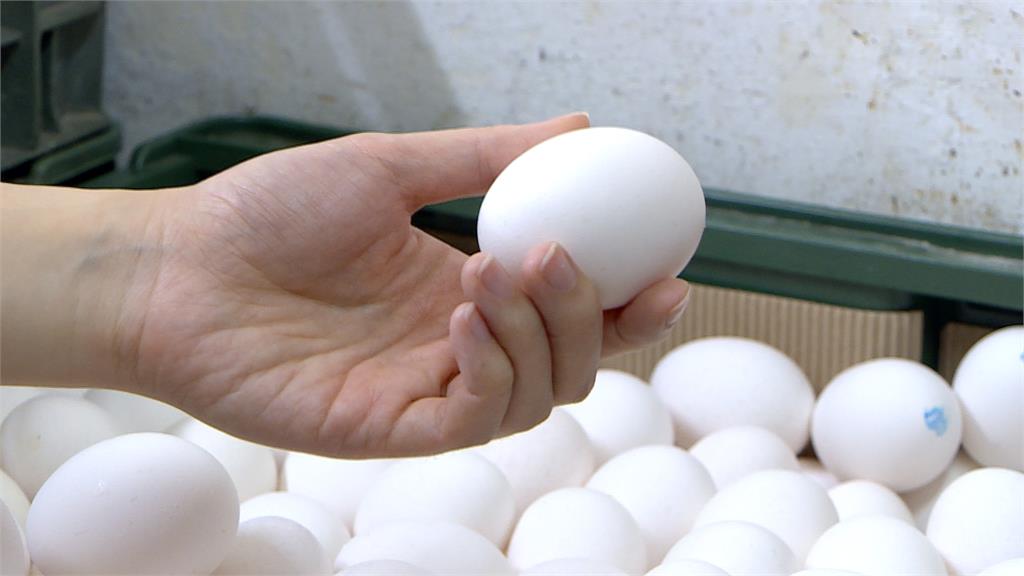 快新聞／專案進口搭配滾動庫存　農業部重申：到期雞蛋不會流入市場
