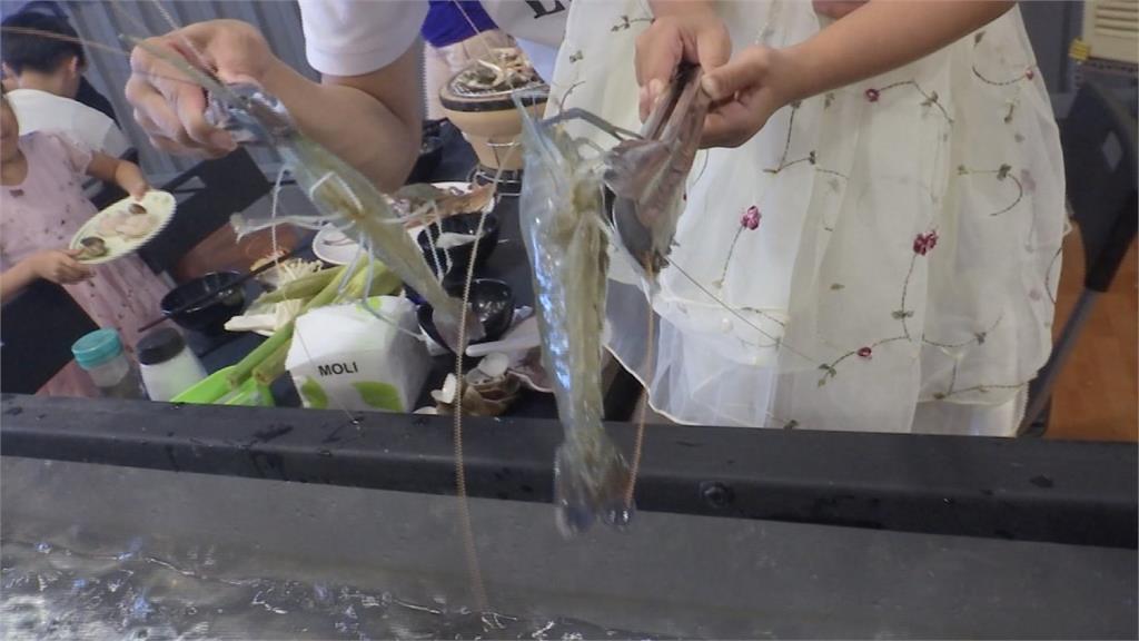 泰國「流水蝦」台灣也有！吃到飽試營運大爆滿