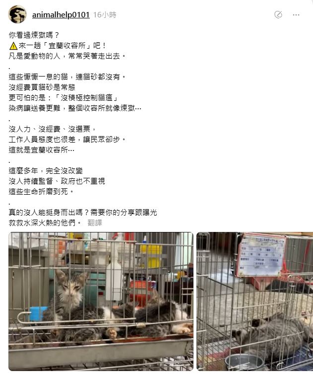 宜蘭動物收容所遭爆「像煉獄」　貓隻生存困難　所方出面澄清