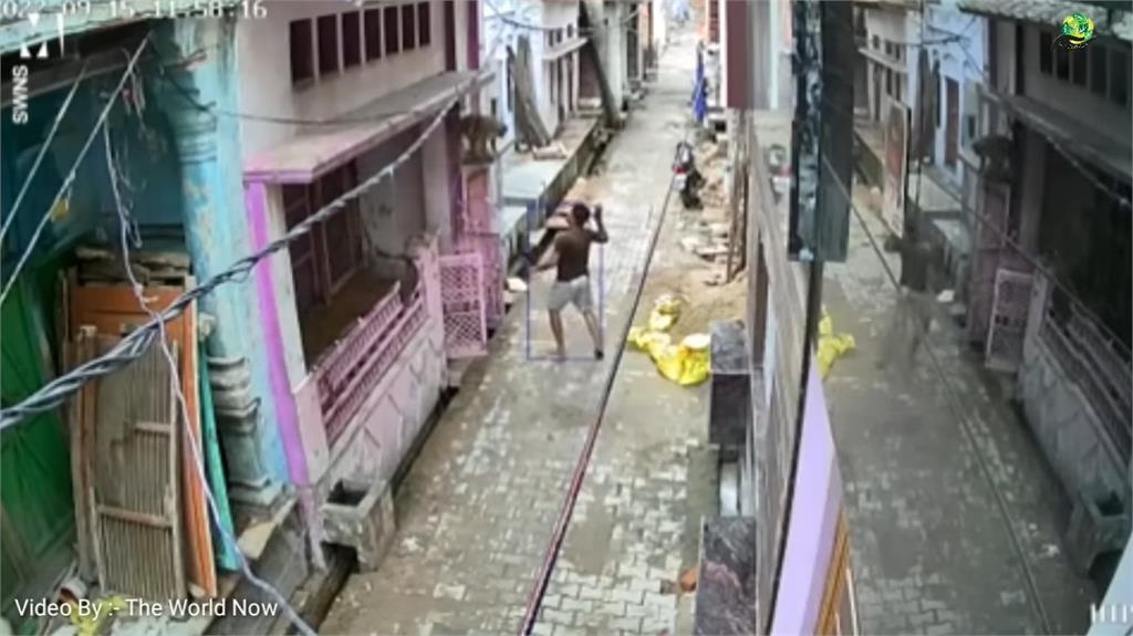 街頭上演「人猴大戰」！印度男追猴子失敗慘被「過肩摔」糗爆過程曝光
