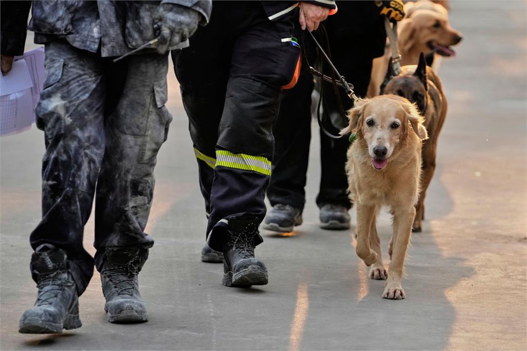 搜救犬出任務　彰化警尋回失智重聽老婦