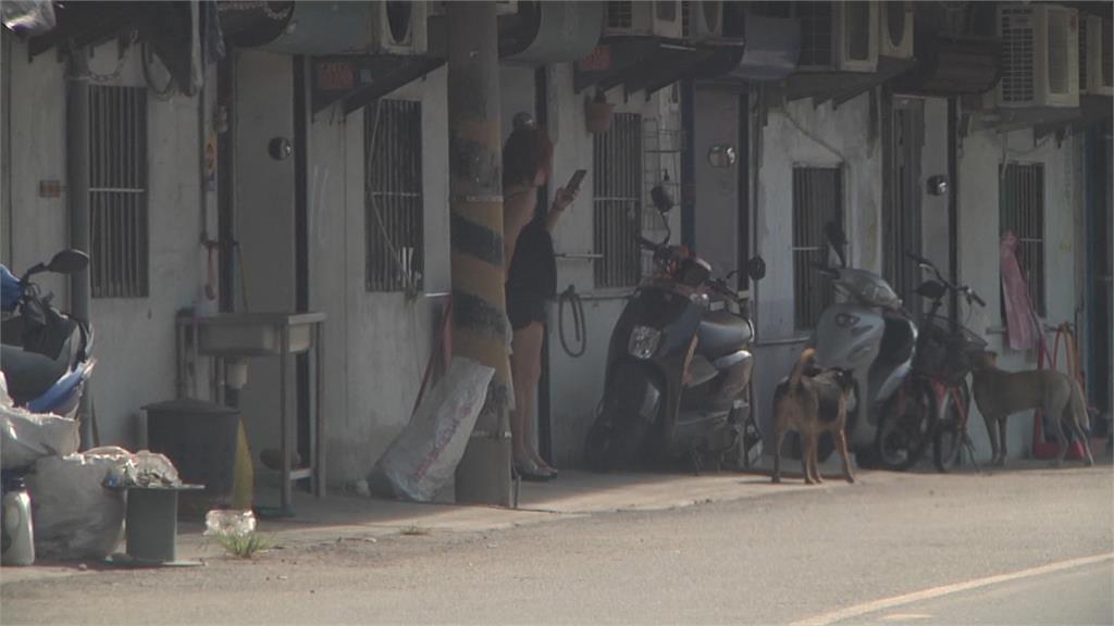 雲林「豆干厝」起死回生！台、越、泰妹艷名遠播