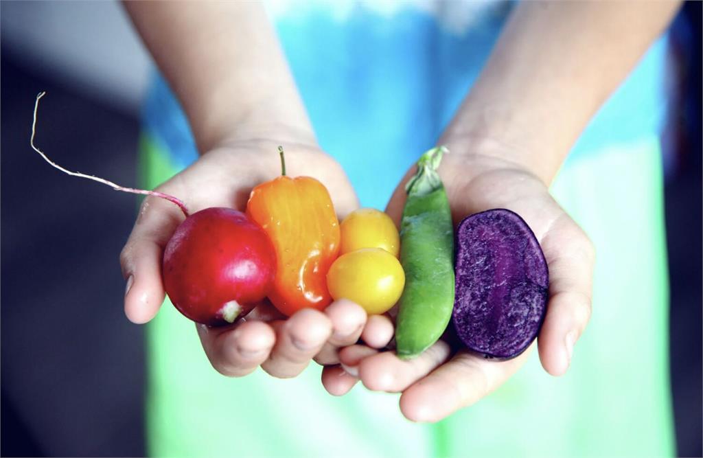 美新飲食指南鼓吹吃紅肉、全脂乳？!   營養師揭自打嘴矛盾