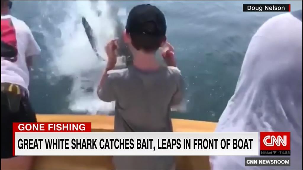 魚上鉤了！男孩釣魚開心拍照 下一秒大白鯊跳上來