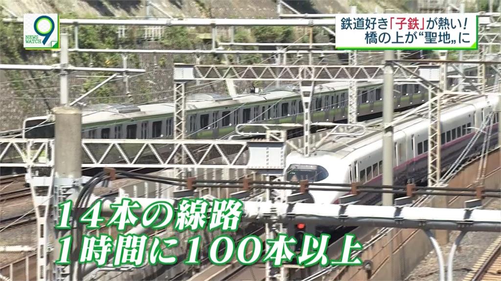 火車魅力大 「幼幼鐵道迷」風潮席捲日本