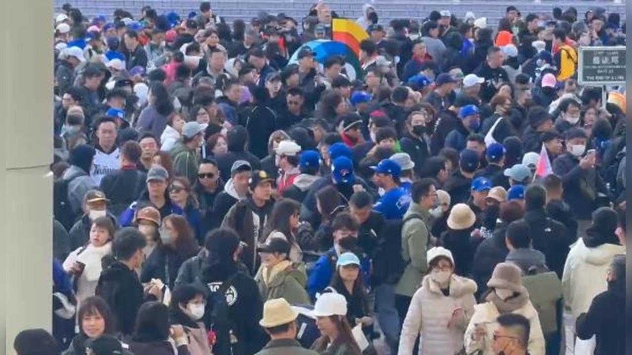 經典賽／台灣球迷塞爆東京巨蛋！日媒撰文談熱血台灣球迷以及啦啦隊超震撼