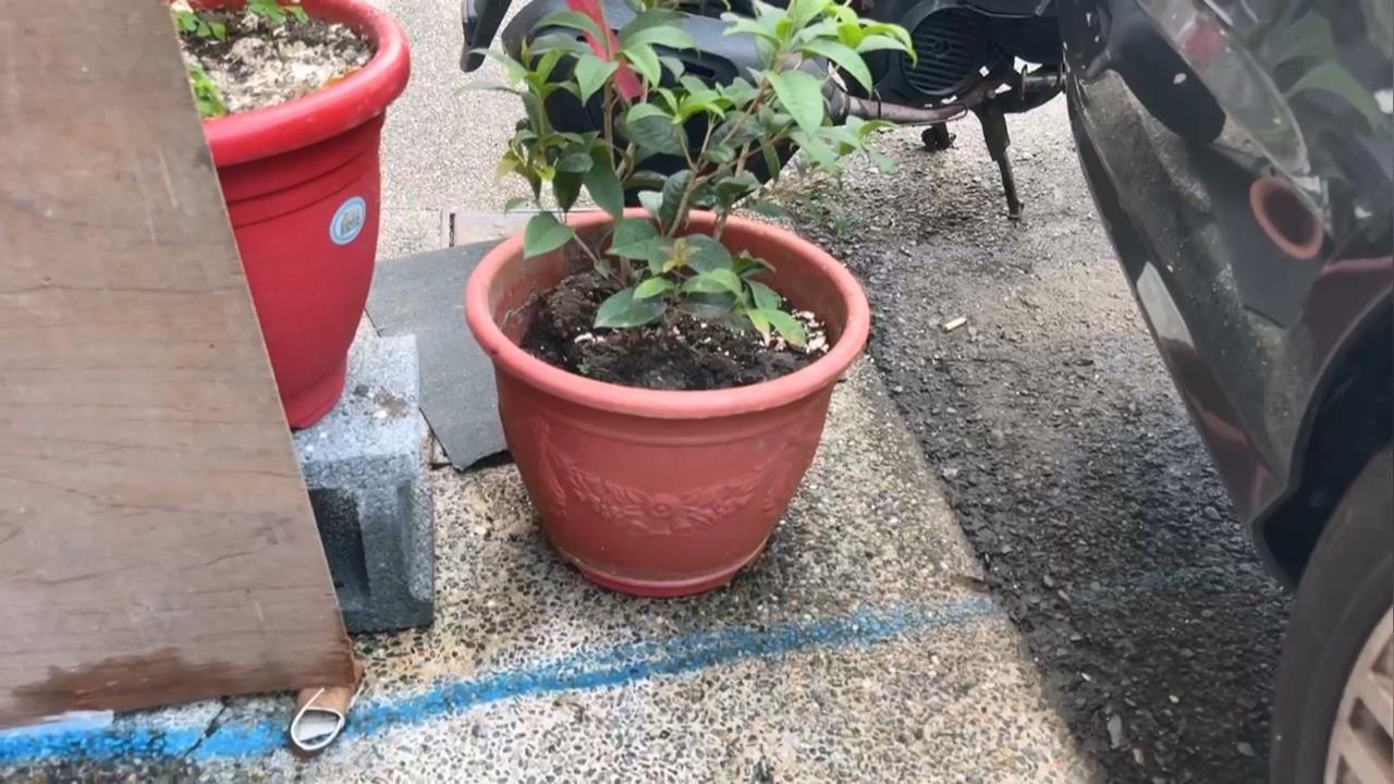 停車摩擦惹糾紛！嬤控花盆被撞倒　孫氣不過揪友砸鄰居車