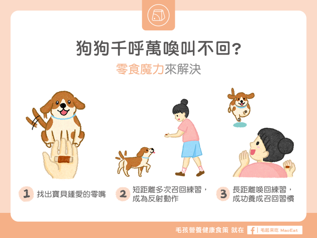 【汪汪訓練術】狗狗千呼萬喚叫不回？零食魔力來解決