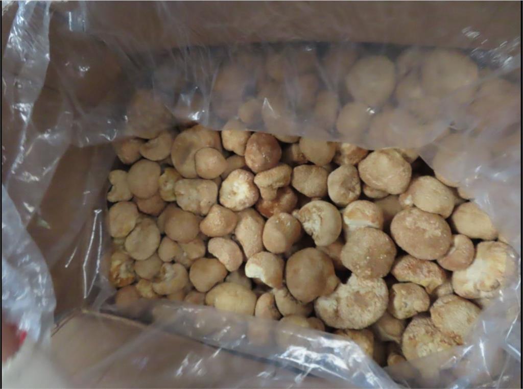 快新聞／半年來第15批！中國進口1248公斤猴頭菇又農藥超標