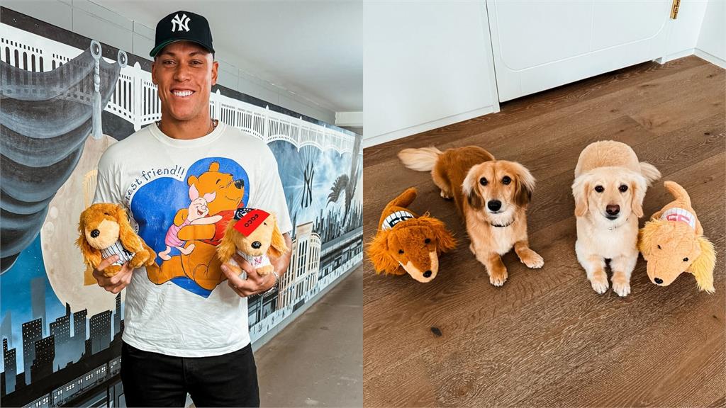 MLB／太萌！洋基隊長愛犬出周邊做公益　賈吉捧絨毛娃娃「一比一還原」毛小孩