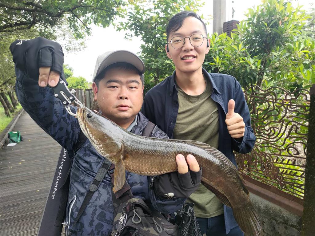 快新聞／消滅外來種！　羅東林業園區14年來首次開放垂釣