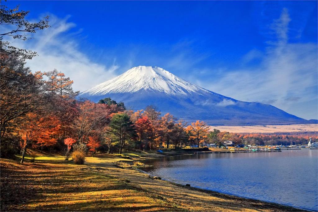猛暑發威！日本楓紅遲到數周　多處賞楓季活動延期
