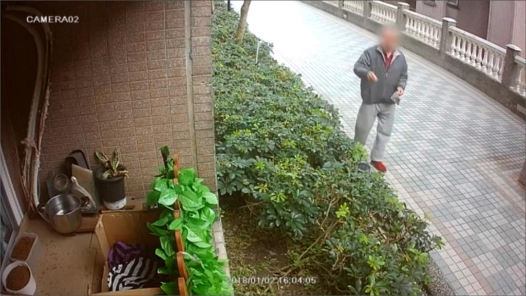 新北某社區「貓墳場」？ 主委反駁「丟老鼠藥是住戶個人行為」